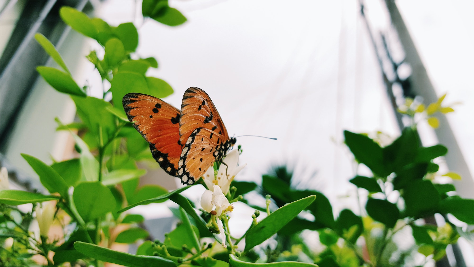 Tips voor het kopen van tuinmeubelen