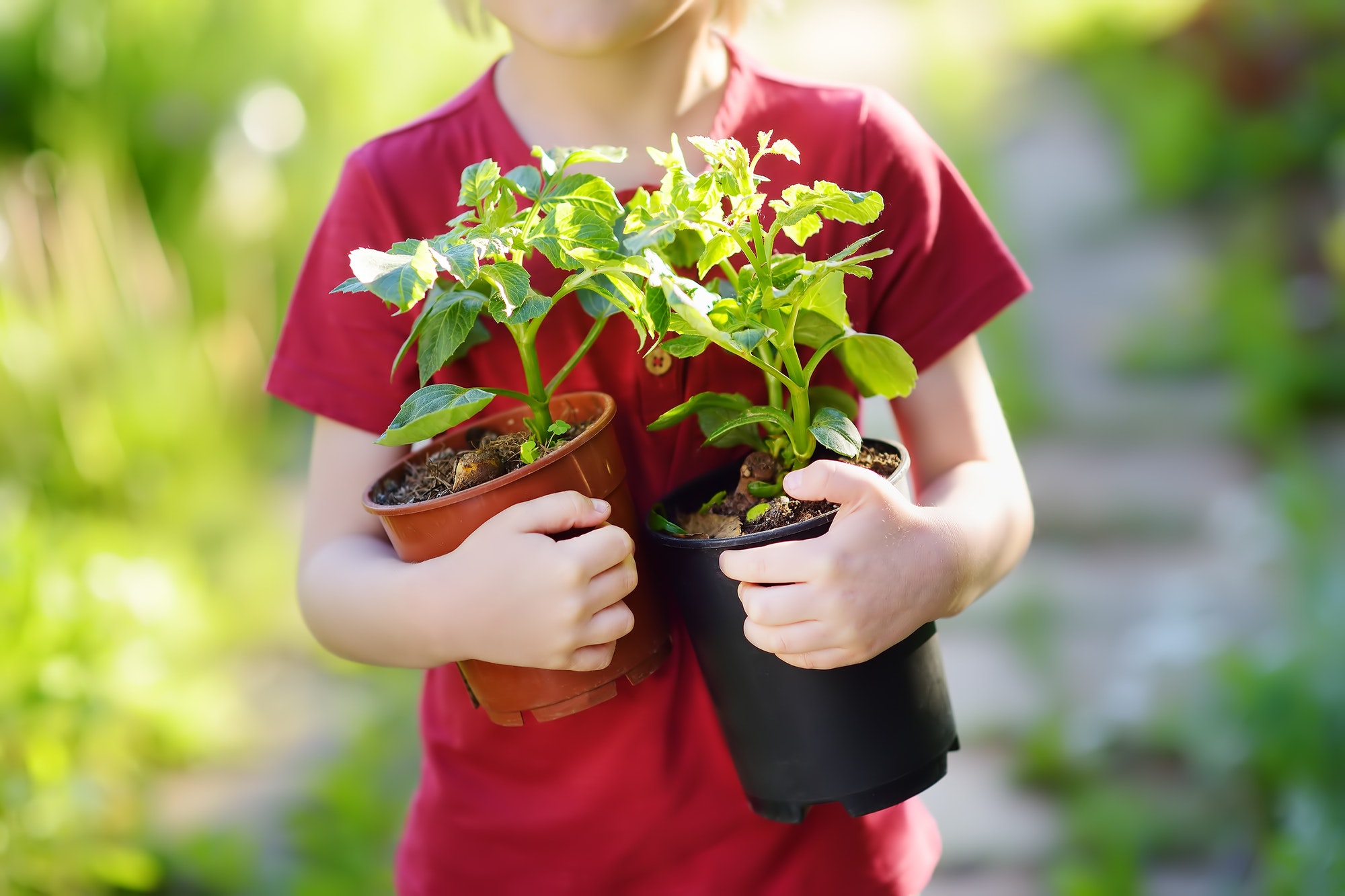 Plan je moestuin