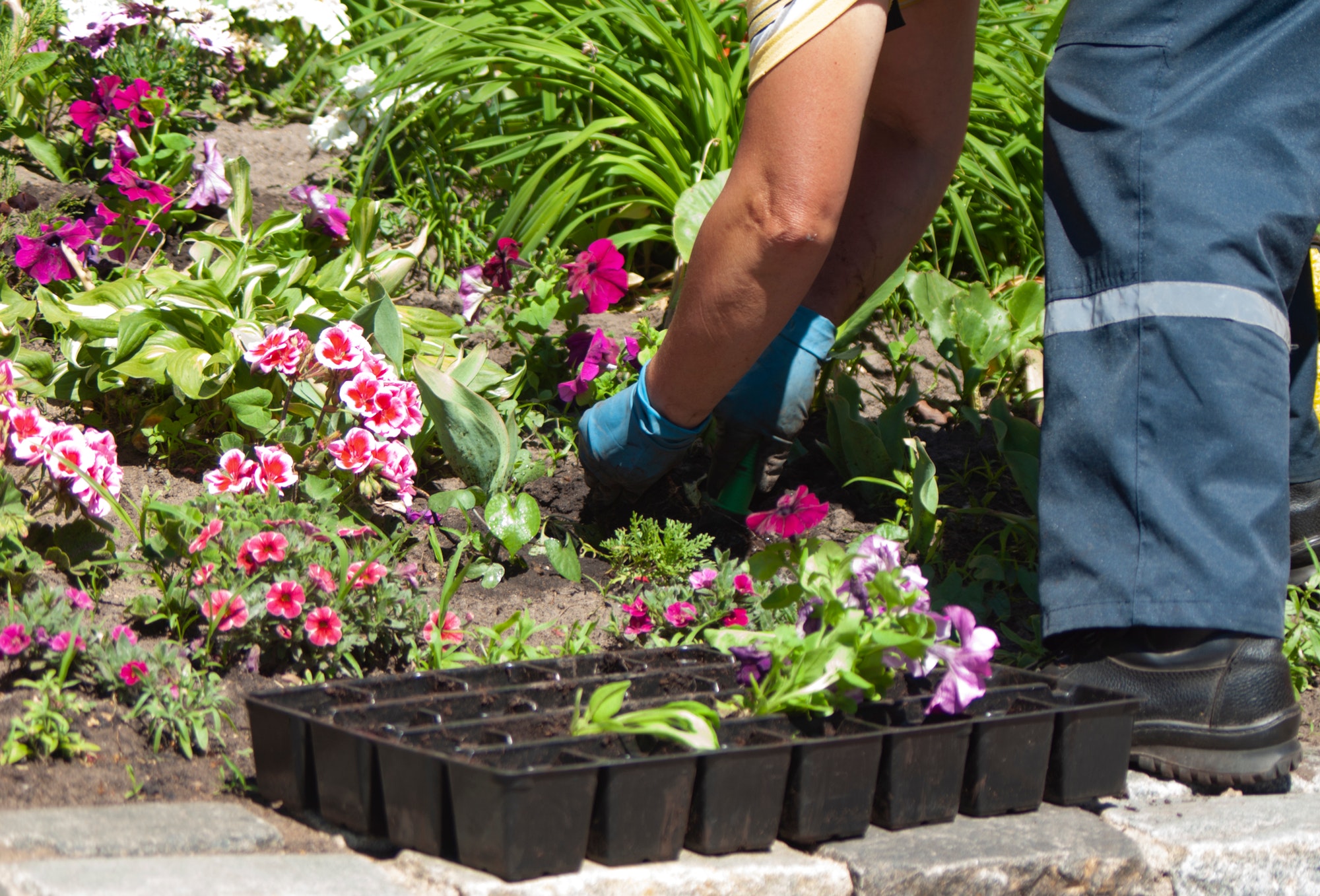 Boeket Bezorgen in Hoofddorp: Tips en Advies