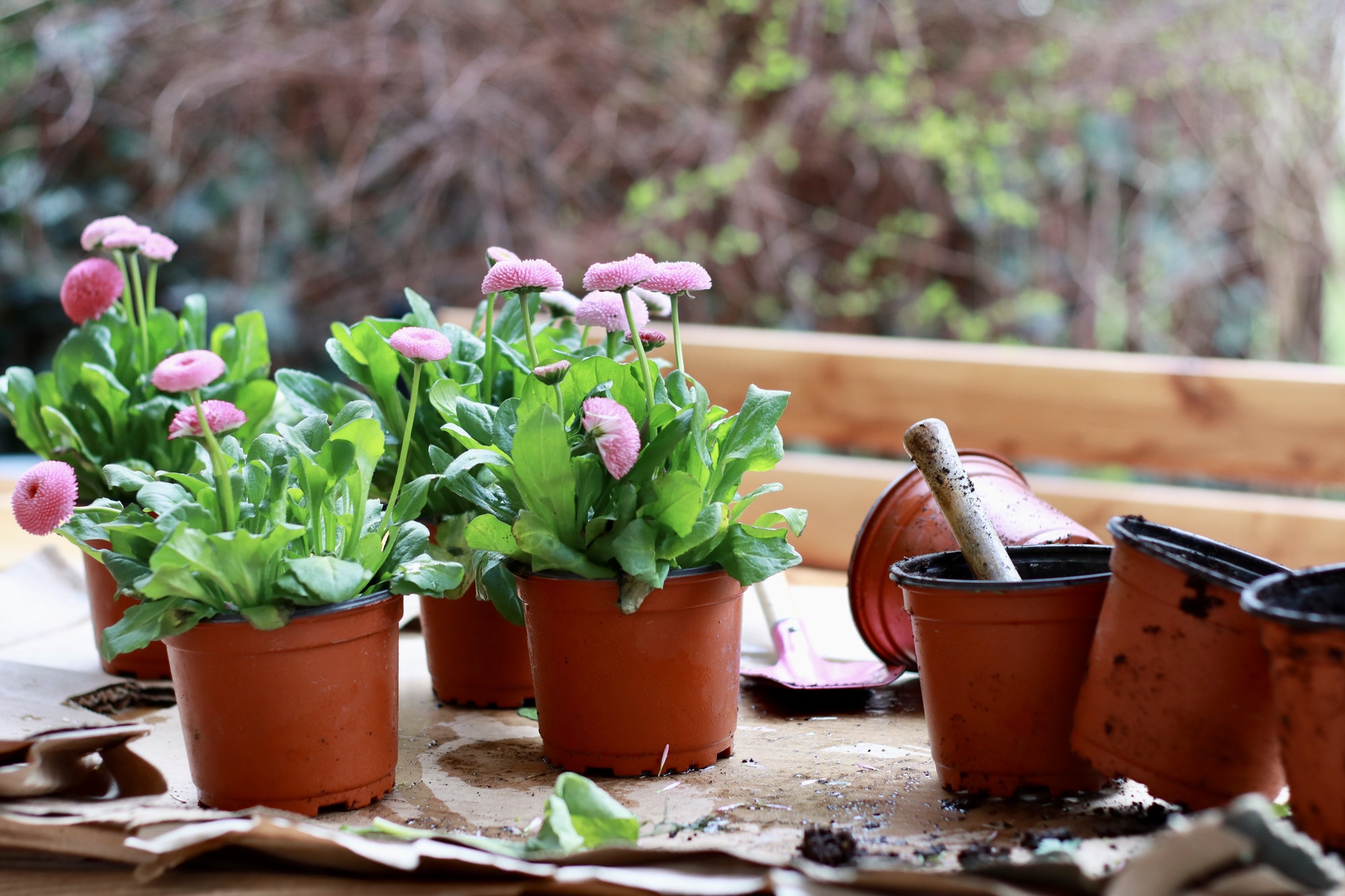 Een tuinontwerp plannen en uitvoeren