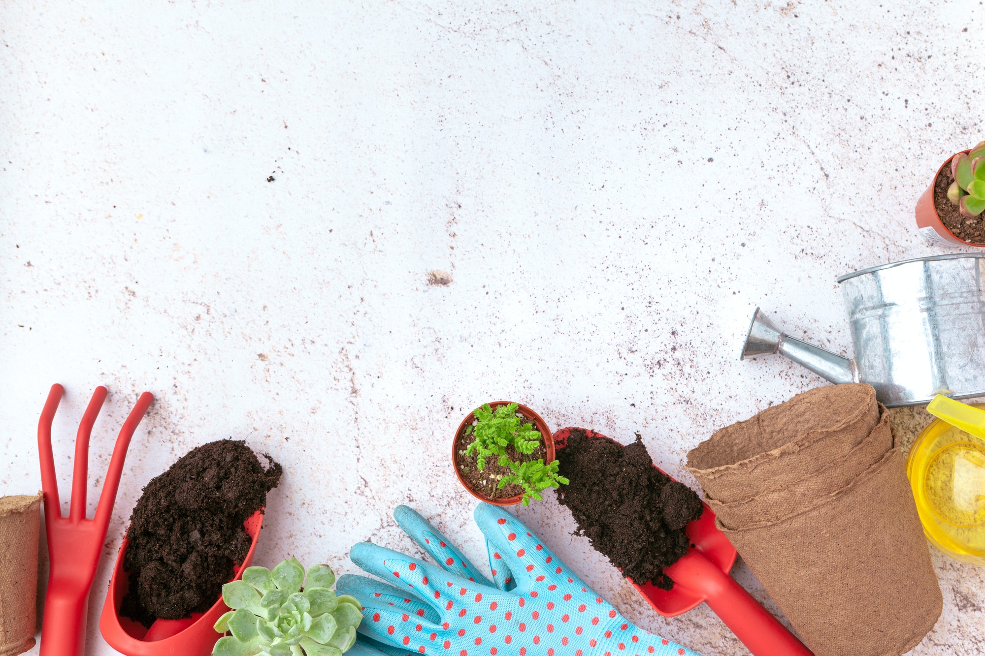 Gardening tools and top view, garden manteinance