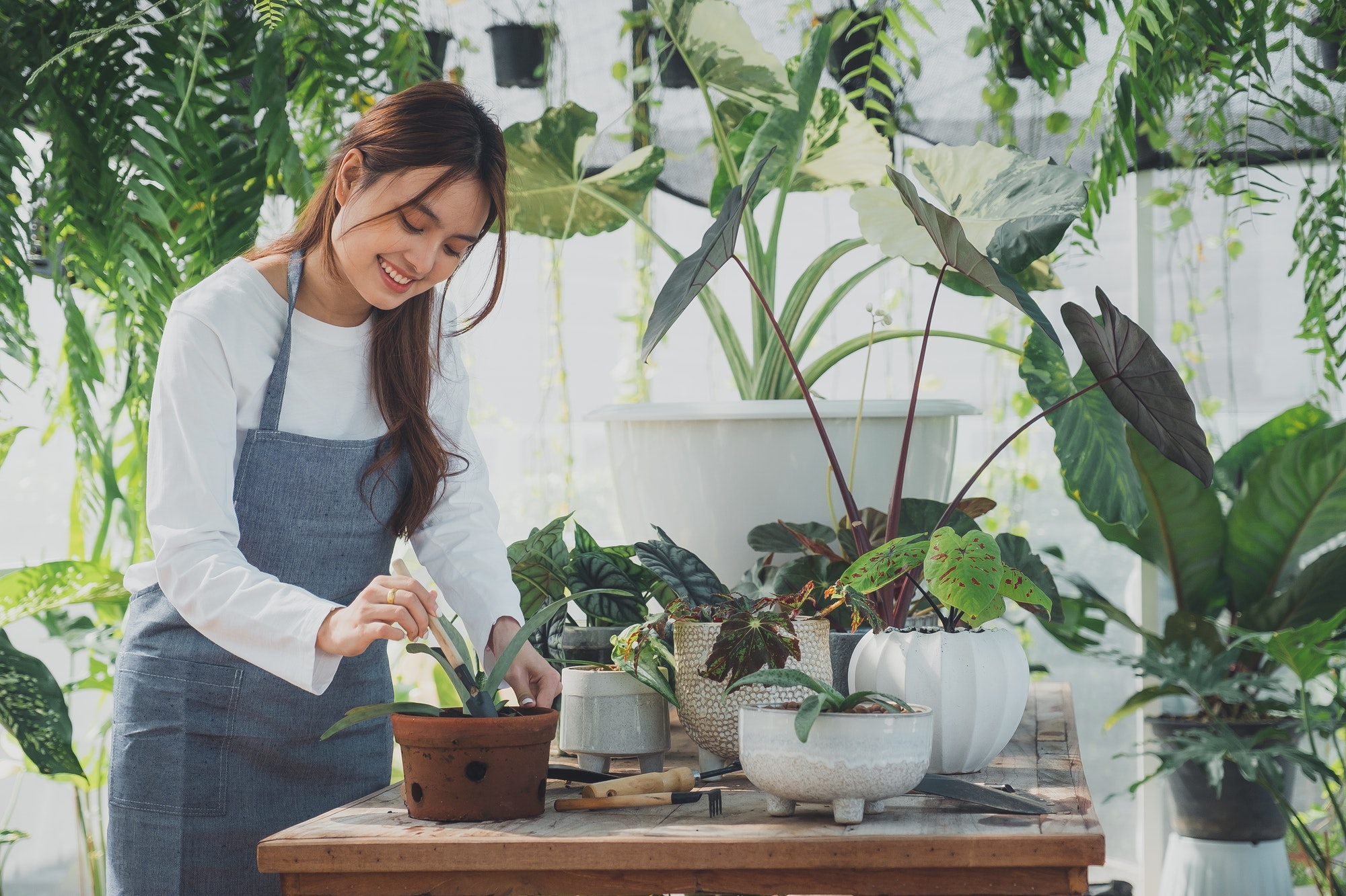 Tips voor tuinontwerp