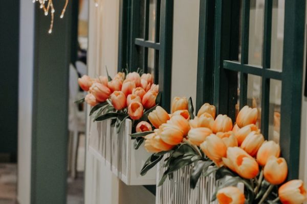 Stalen Bloembakken en Cortenstalen Plantenbakken: Een Duurzame en Stijlvolle Keuze