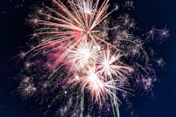 Kalmeringsmiddelen bij Vuurwerkangst: Zorgeloze Feestdagen voor Je Viervoeter met Happy One Hondenvoer