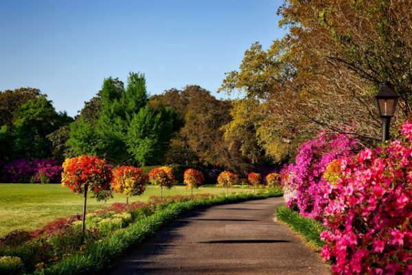 Bespaar Groot op Tuinsets: Ontdek de Voordelen van Tuinmeubels Outlet