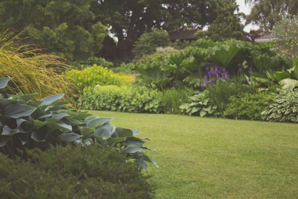 Groenrijk: Uw Complete Tuincentrum voor Groenplezier