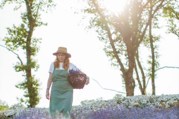 Tuincentrum en Lavendel Snoeien: Tips voor een Gezonde en Bloeiende Plant