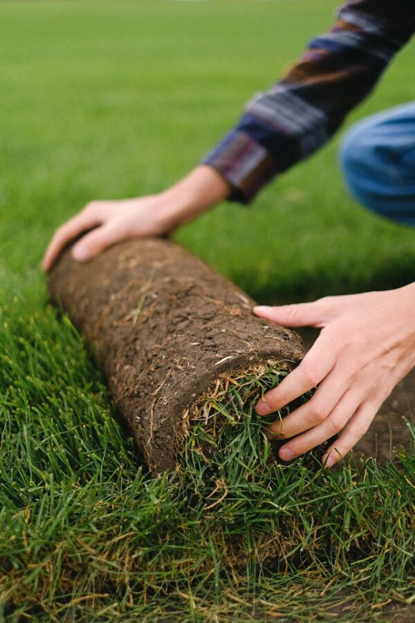 Tuincentrum en Worteldoek: Onmisbare Partners voor een Gezonde Tuin