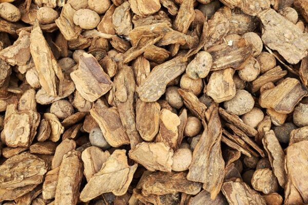 Houtpellets en Kerstverlichting: Warmte en Sfeer voor de Wintermaanden