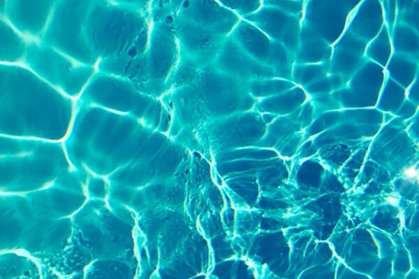 Aquamax vijverpomp en PondoVac vijverstofzuiger: de basis voor een gezonde vijver